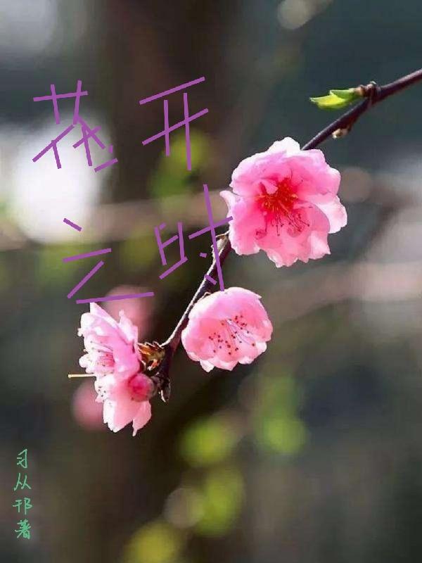 ֮ʱ