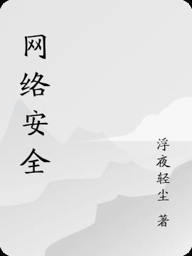 簲ȫ