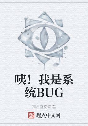 ףϵͳBUG
